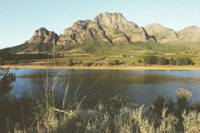 Zuid-Afrika; ontdek alles over de Kaapse wijncultuur.