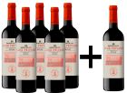 Baron de Ley Club privado