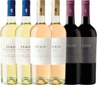 Scaia combinatie 2 bianco, 2 rosato & 2 rosso