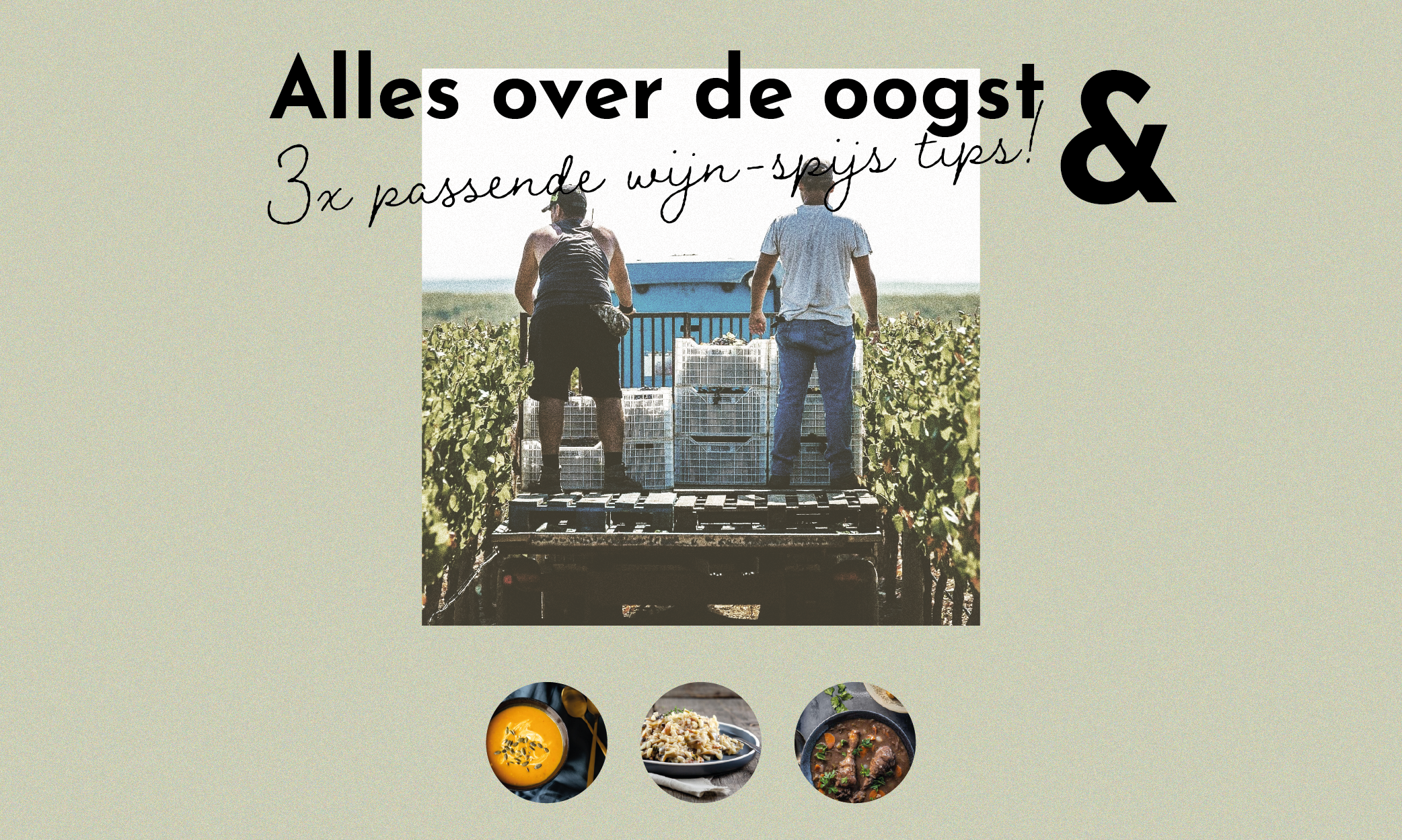 Oktober = wijnmaand! 3x passende wijn-spijs tips!