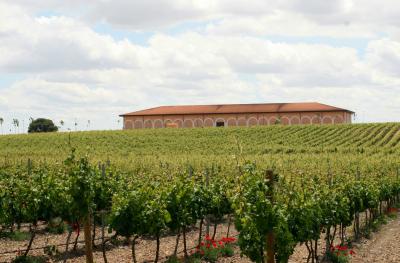 Nieuw bij Favoriete Wijn: Finca Museum uit onontdekt Cigales!
