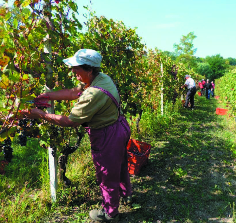 Natuurlijke bestrijding Villa Giada
